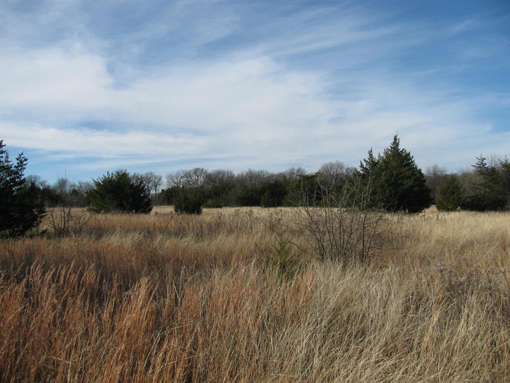 3330 Rd Dodd City Tx 75438 Road Ladonia, TX 75449 - Photo 18 of 28 a view of river and tree in the background