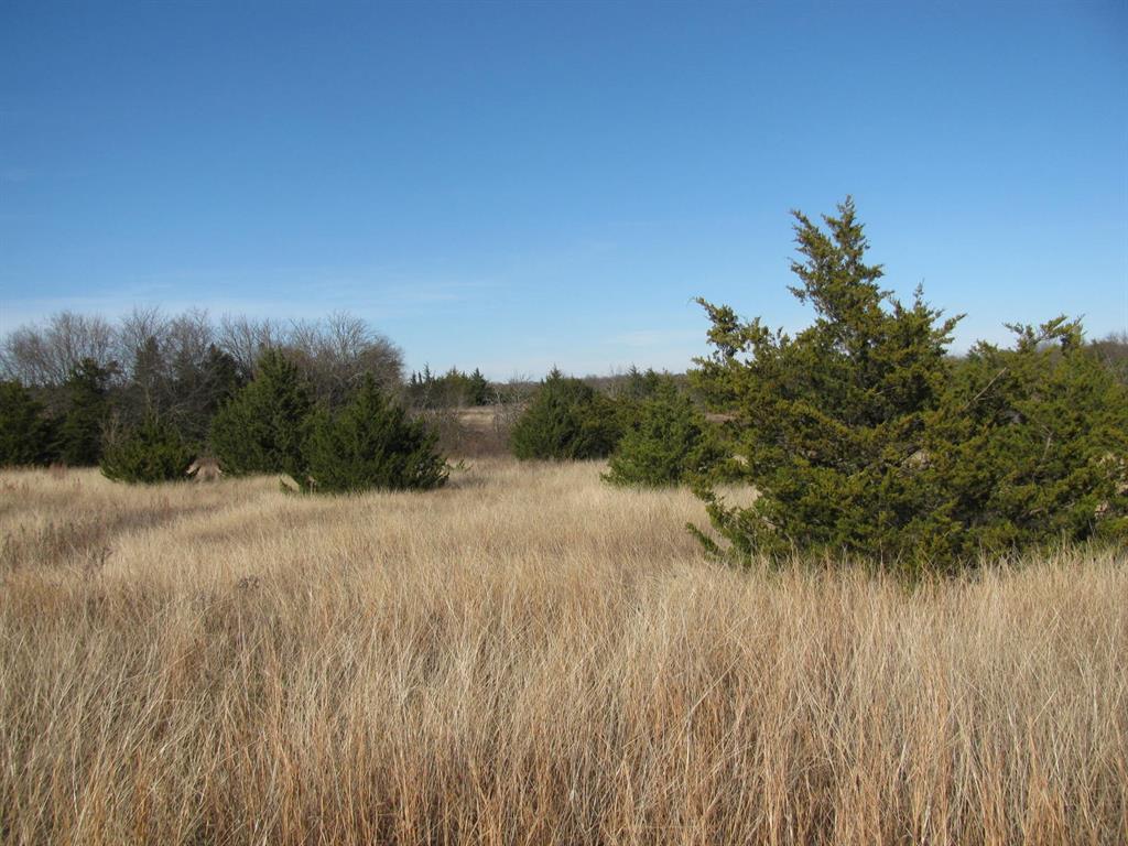 3330 Rd Dodd City Tx 75438 Road Ladonia, TX 75449 - Photo 19 of 28