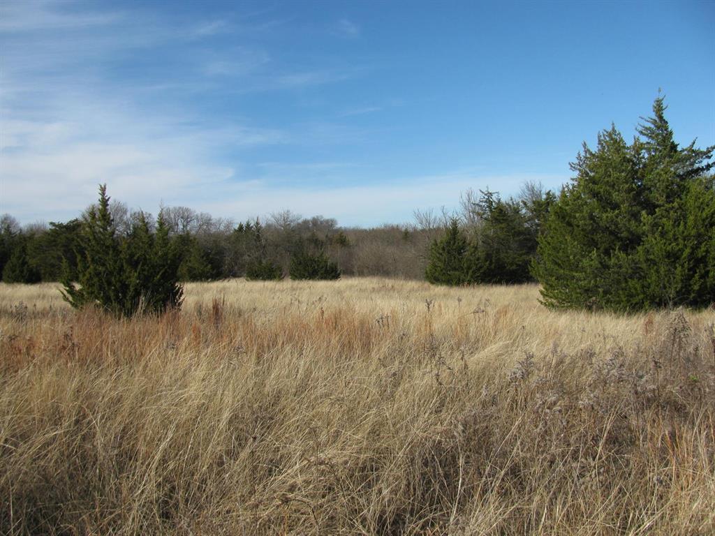 3330 Rd Dodd City Tx 75438 Road Ladonia, TX 75449 - Photo 20 of 28