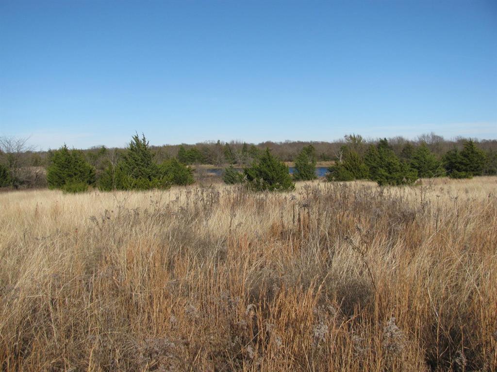 3330 Rd Dodd City Tx 75438 Road Ladonia, TX 75449 - Photo 21 of 28 a view of lake with mountain in background