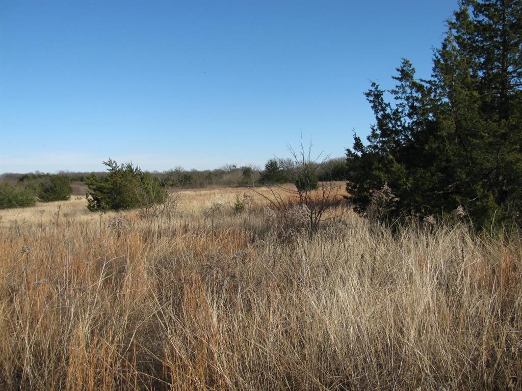 3330 Rd Dodd City Tx 75438 Road Ladonia, TX 75449 - Photo 22 of 28