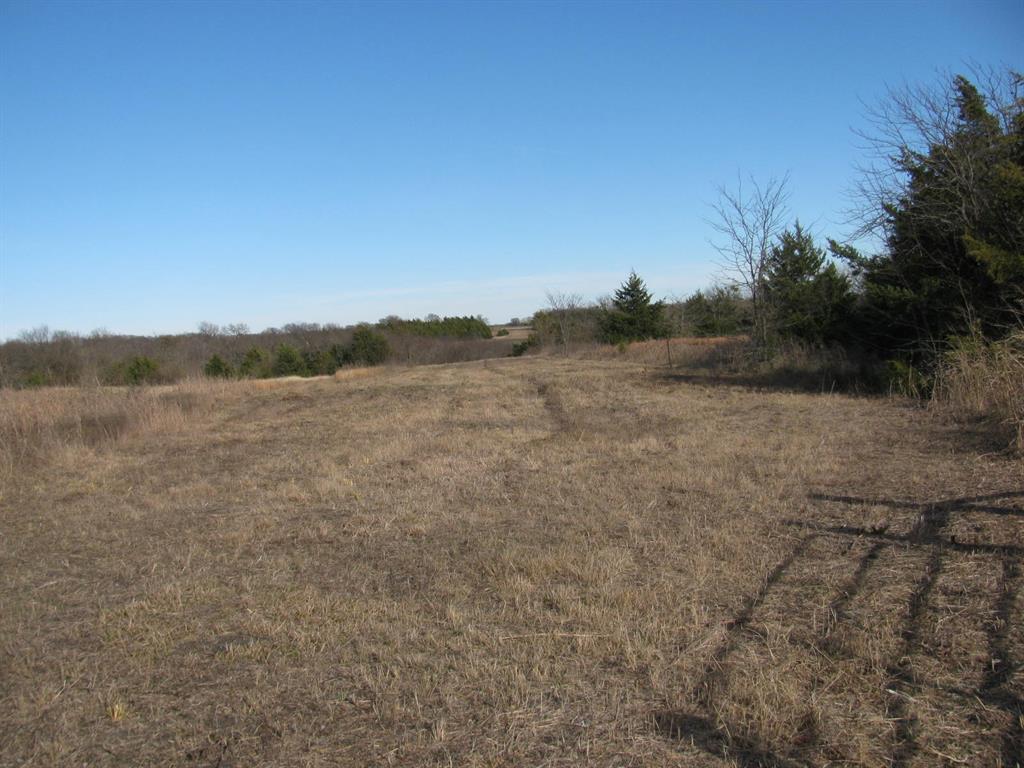3330 Rd Dodd City Tx 75438 Road Ladonia, TX 75449 - Photo 24 of 28 a view of mountain with lake view
