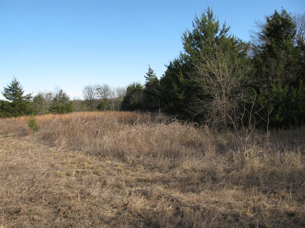 3330 Rd Dodd City Tx 75438 Road Ladonia, TX 75449 - Photo 25 of 28