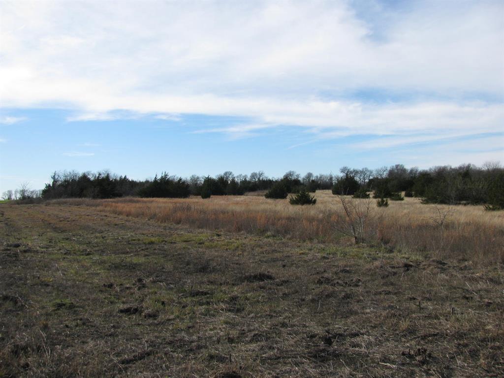 3330 Rd Dodd City Tx 75438 Road Ladonia, TX 75449 - Photo 26 of 28 a view of a lake from a yard