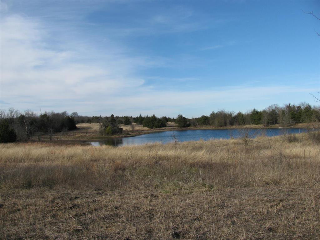 3330 Rd Dodd City Tx 75438 Road Ladonia, TX 75449 - Photo 3 of 28