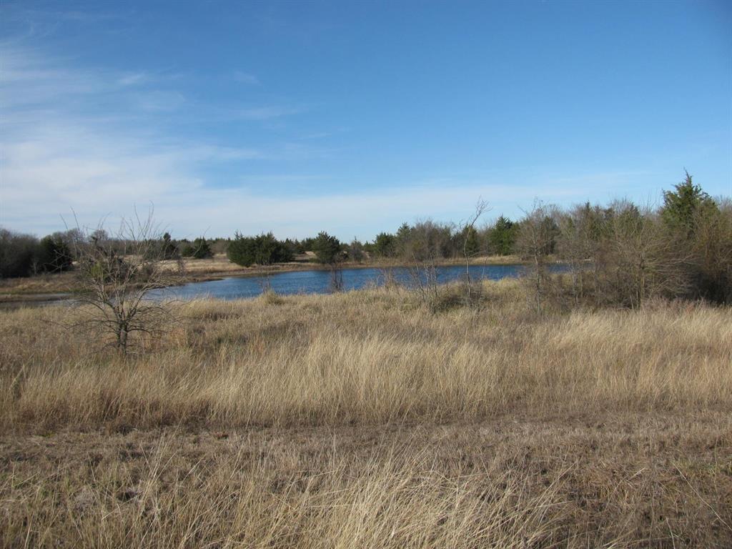 3330 Rd Dodd City Tx 75438 Road Ladonia, TX 75449 - Photo 4 of 28 a view of a lake from a yard