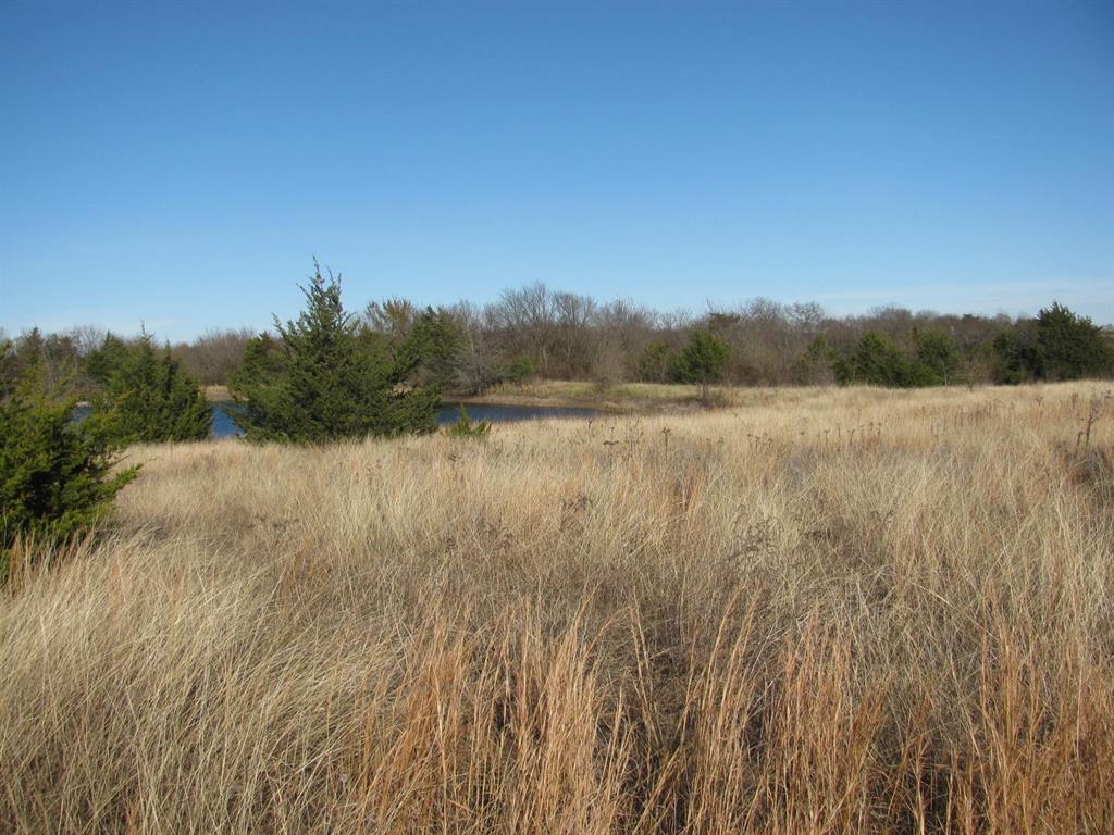 3330 Rd Dodd City Tx 75438 Road Ladonia, TX 75449 - Photo 5 of 28