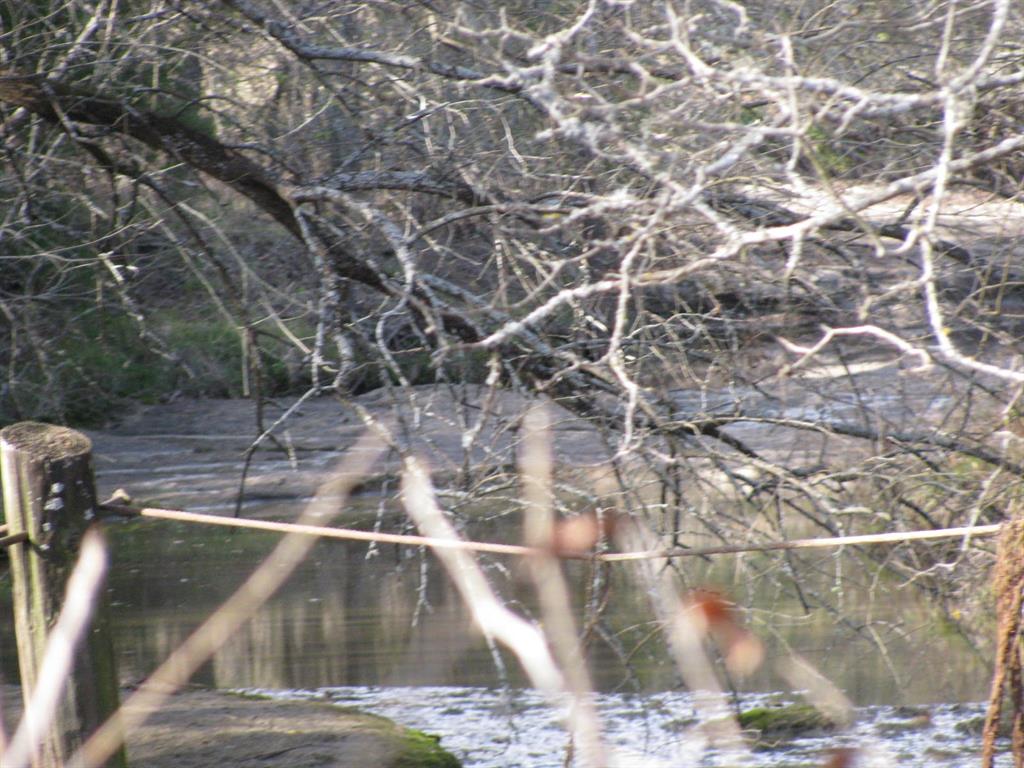 3330 Rd Dodd City Tx 75438 Road Ladonia, TX 75449 - Photo 7 of 28 wide creek