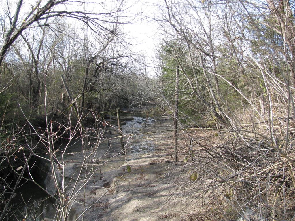 3330 Rd Dodd City Tx 75438 Road Ladonia, TX 75449 - Photo 8 of 28