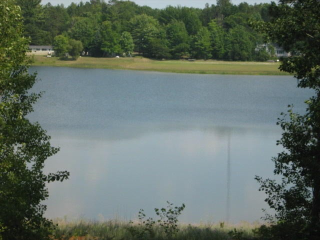 Devereaux Road Indian River, MI 49749 - Photo 7 of 8 Gallery Image 7