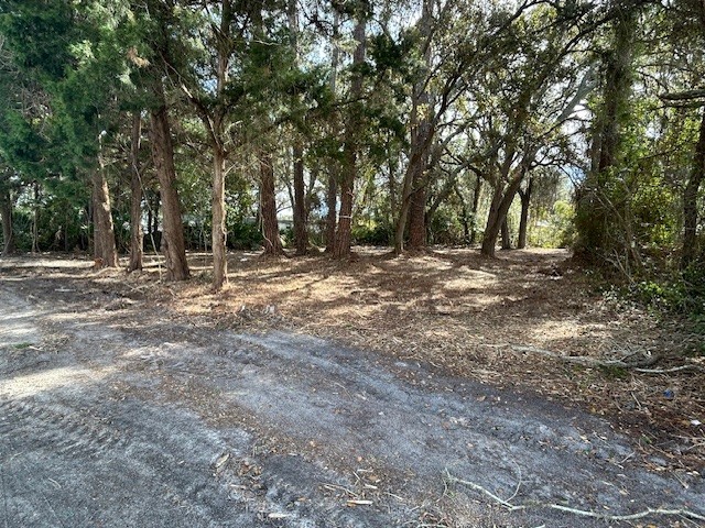 a view of dirt yard with trees in the background