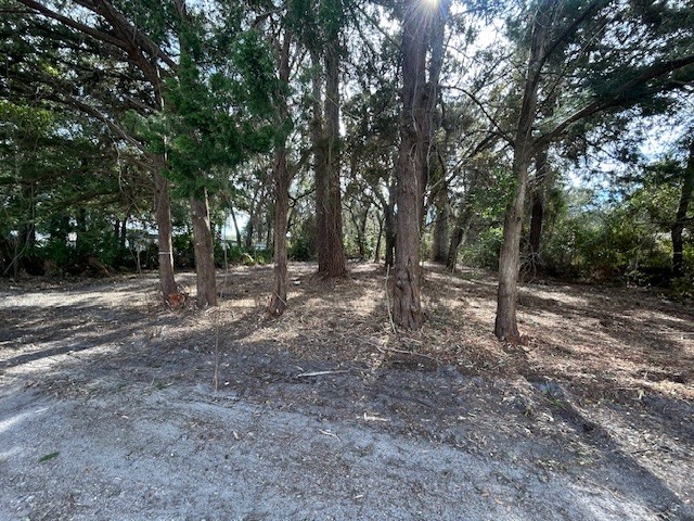 1478 Oak Street Fernandina Beach, FL 32034 - Photo 2 of 7 a view of a forest with trees in the background