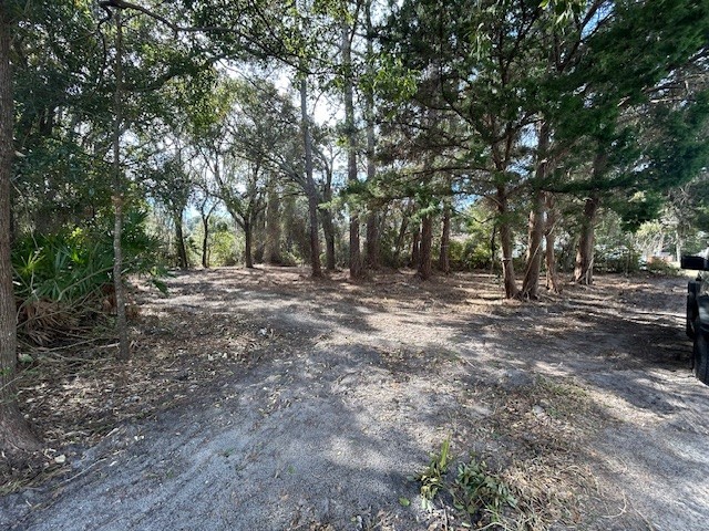 1478 Oak Street Fernandina Beach, FL 32034 - Photo 3 of 7 a view of outdoor space with trees
