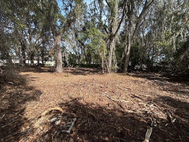 1478 Oak Street Fernandina Beach, FL 32034 - Photo 5 of 7 a view of empty space with large trees