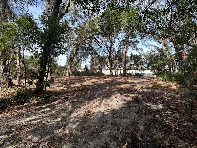1478 Oak Street Fernandina Beach, FL 32034 - Photo 6 of 7 a view of dirt yard with trees