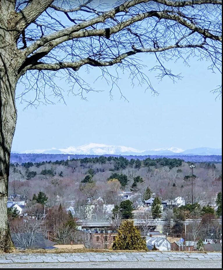 242 Valley Street Portland, ME 04102 - Photo 36 of 40 Screen Shot 2025-08-04 at 2.48.06 PM