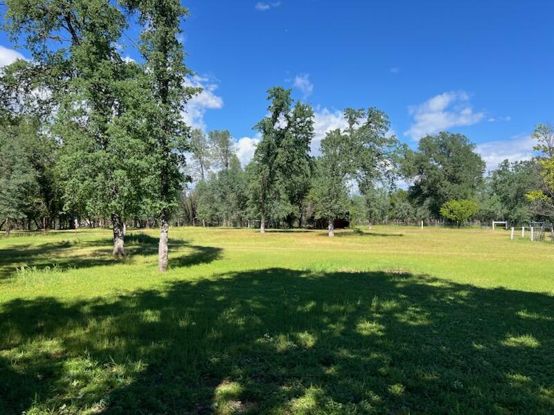16630 Evergreen Road Cottonwood, CA 96022 - Photo 21 of 32 IMG_3425