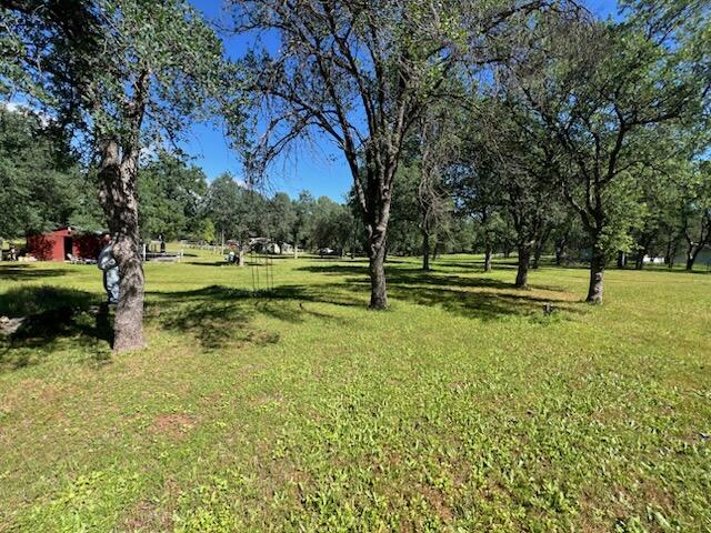 16630 Evergreen Road Cottonwood, CA 96022 - Photo 25 of 32 IMG_3442
