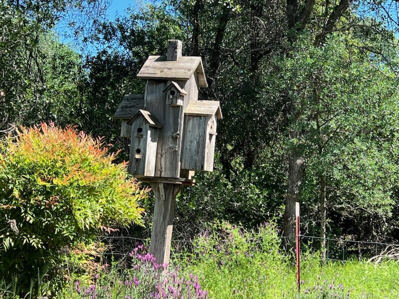 16630 Evergreen Road Cottonwood, CA 96022 - Photo 30 of 32 IMG_3454