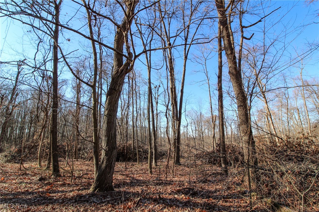 0 Pleasant Chapel Road Southeast Newark, OH 43056 - Photo 6 of 23 View of local wilderness