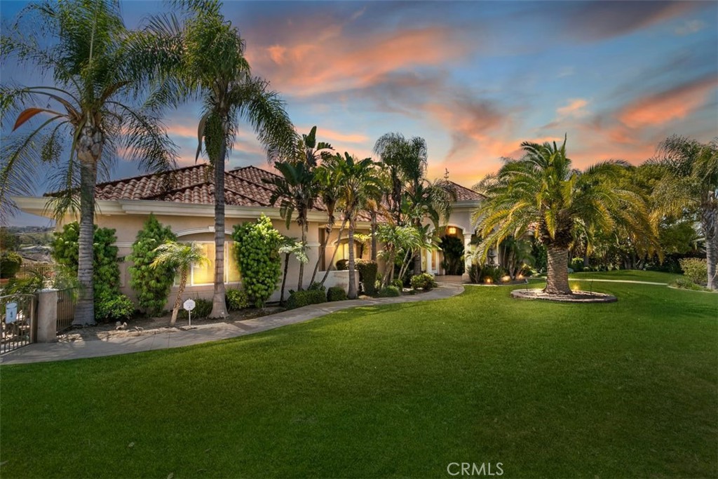a view of a park with palm trees