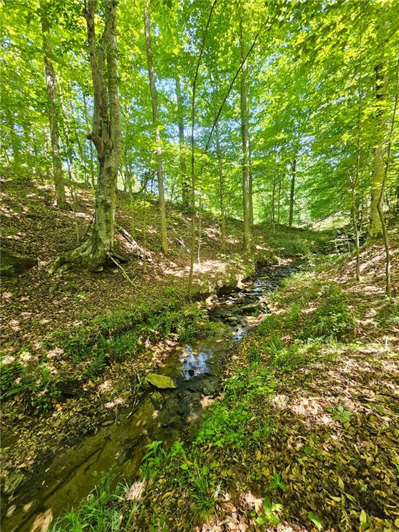 0 Ridgedale Road Six Mile, SC 29682 - Photo 1 of 5 A tranquil stream meanders through a sun-dappled, verdant woodland.