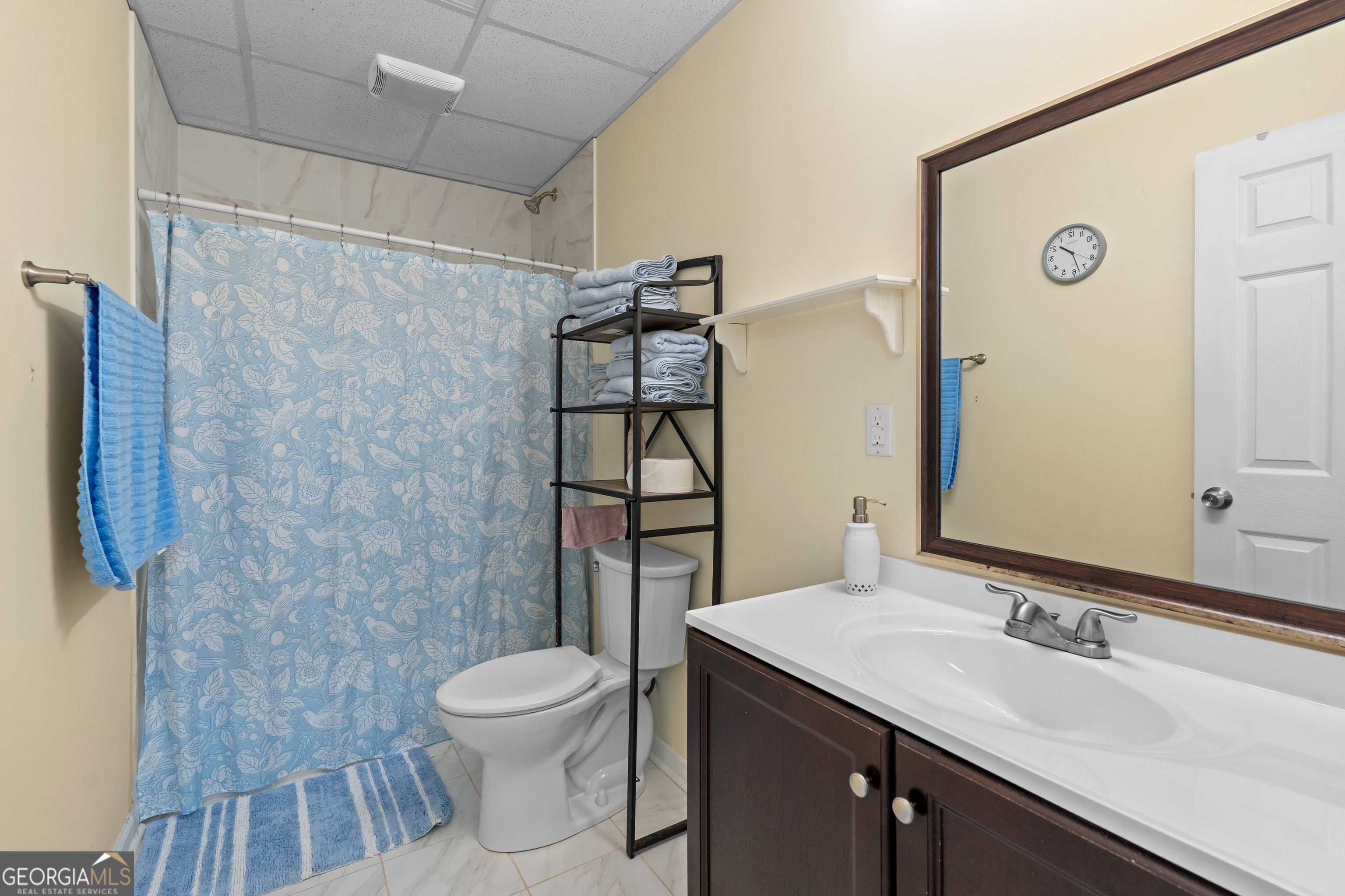 733 Cherry Road Franklin, GA 30217 - Photo 59 of 88 a bathroom with a sink a toilet and shower