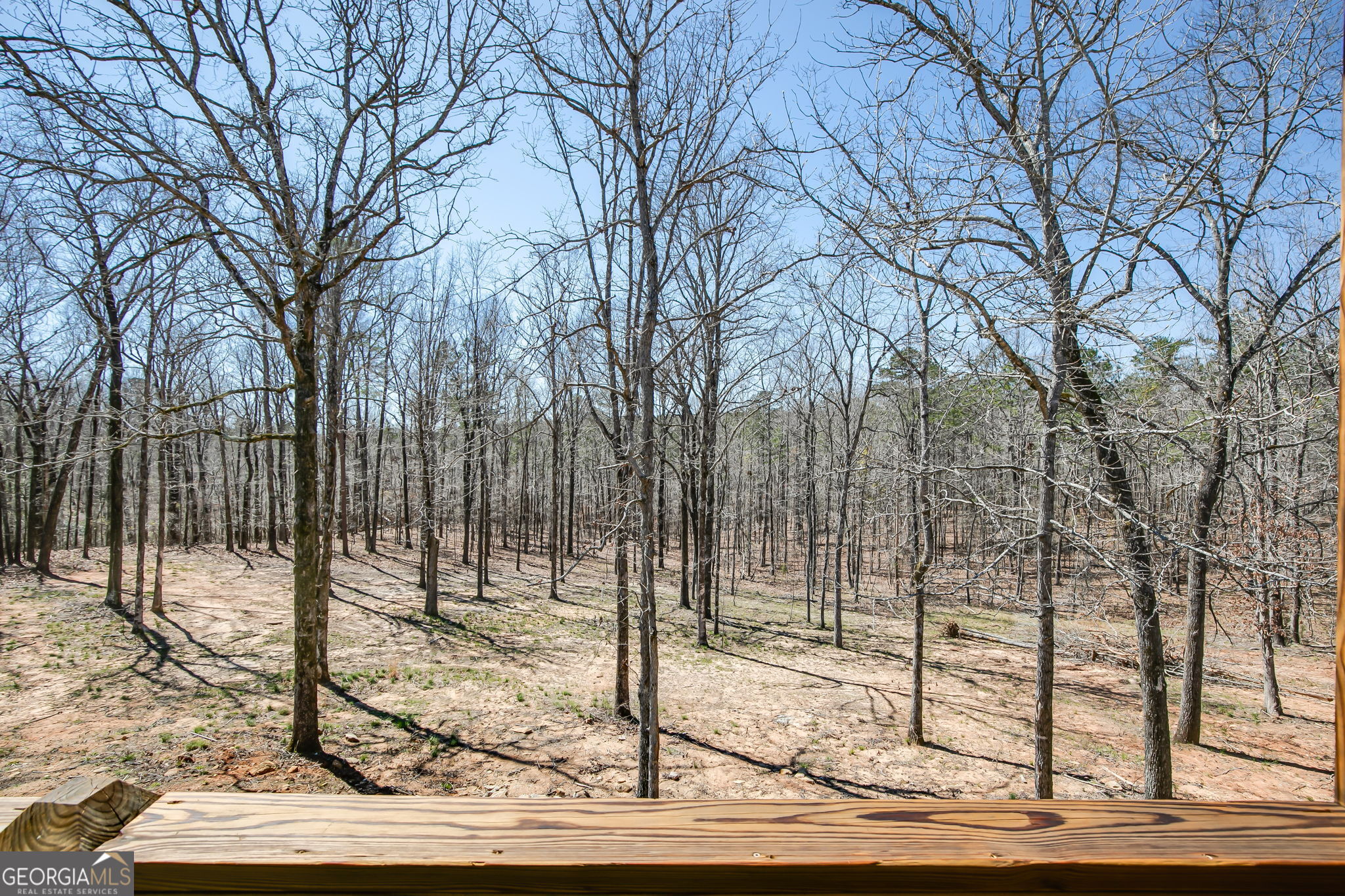 733 Cherry Road Franklin, GA 30217 - Photo 7 of 22 a backyard of a house with lots of green space