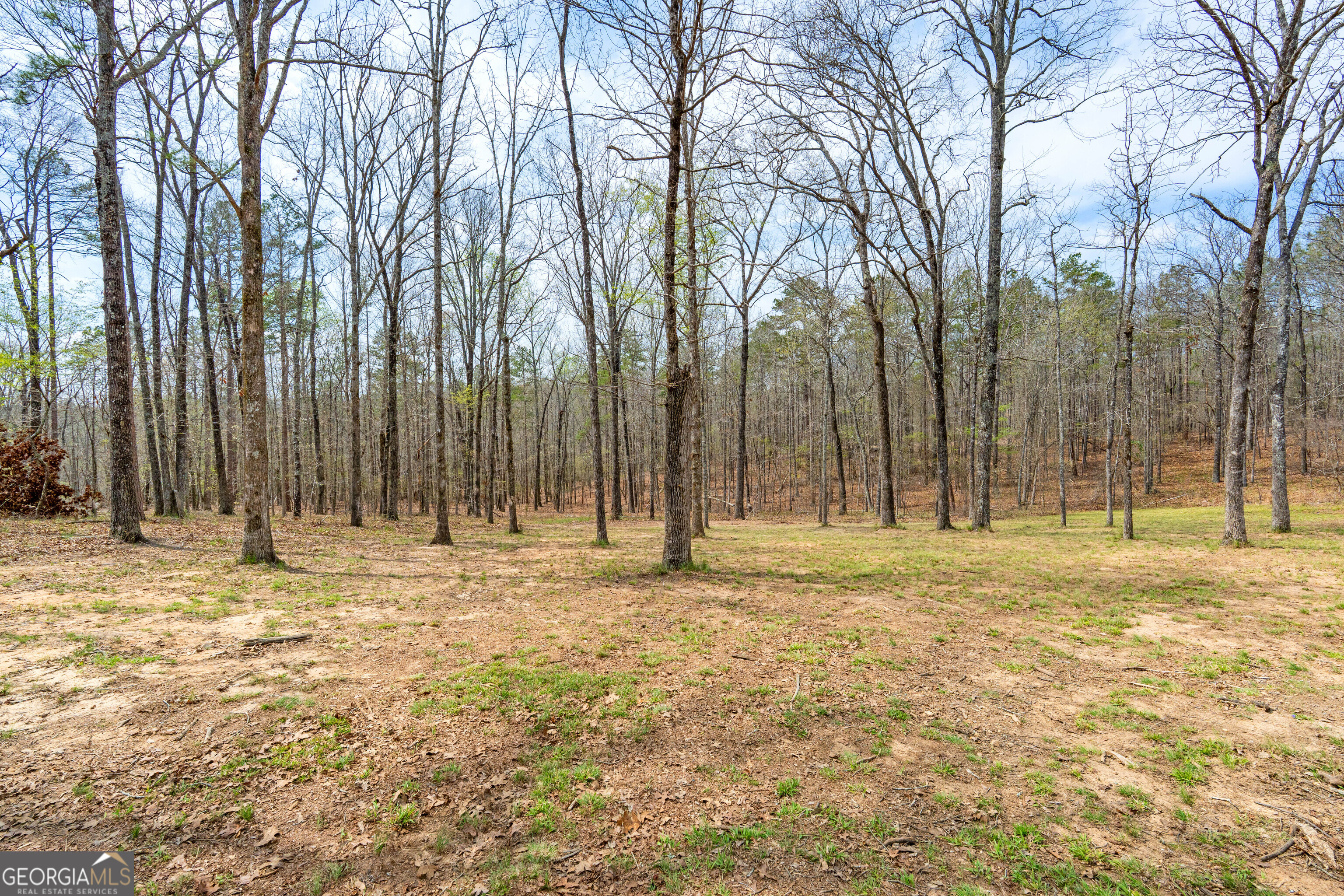 733 Cherry Road Franklin, GA 30217 - Photo 72 of 88 a yard with trees in the background