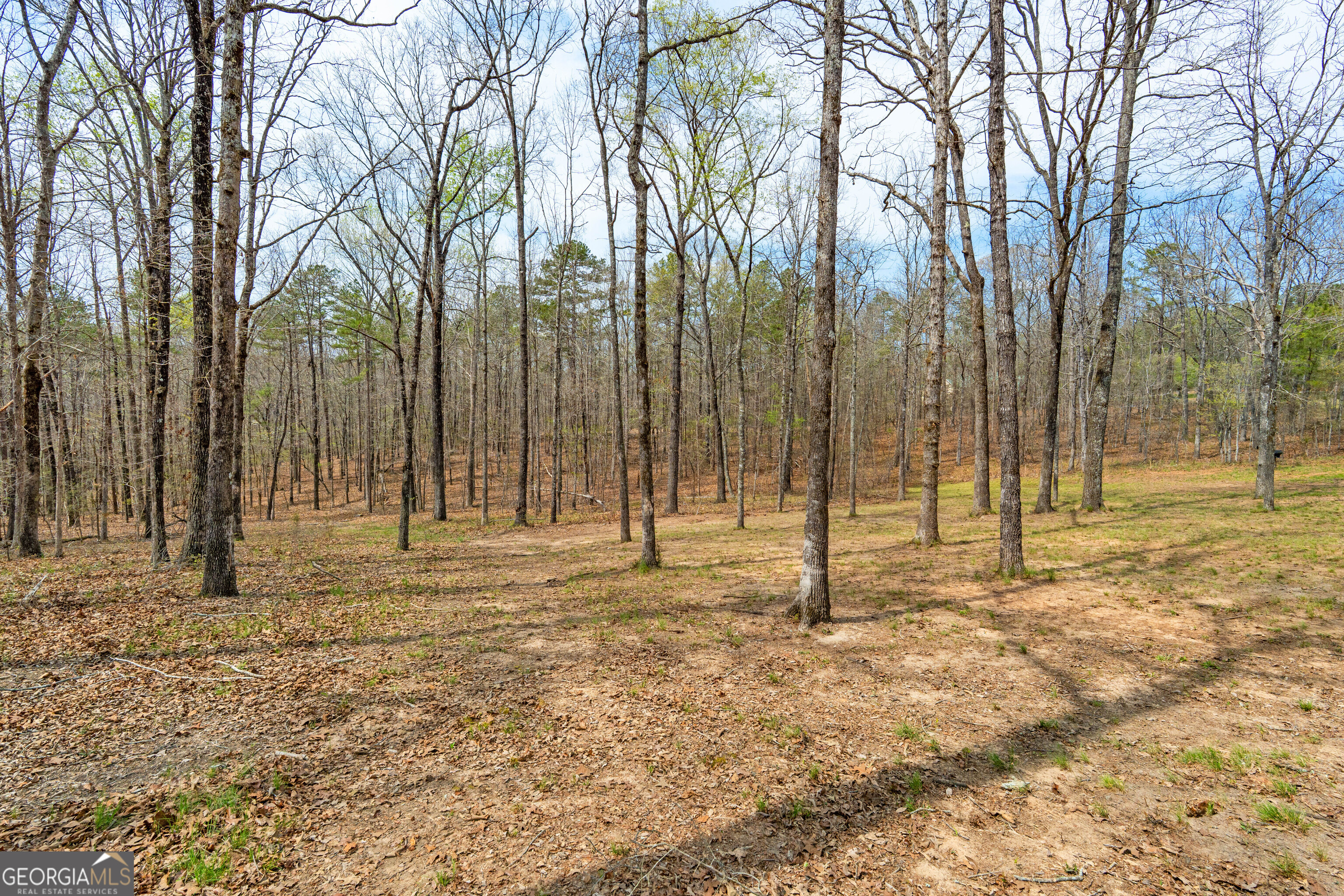 733 Cherry Road Franklin, GA 30217 - Photo 73 of 88 a house with trees in the background