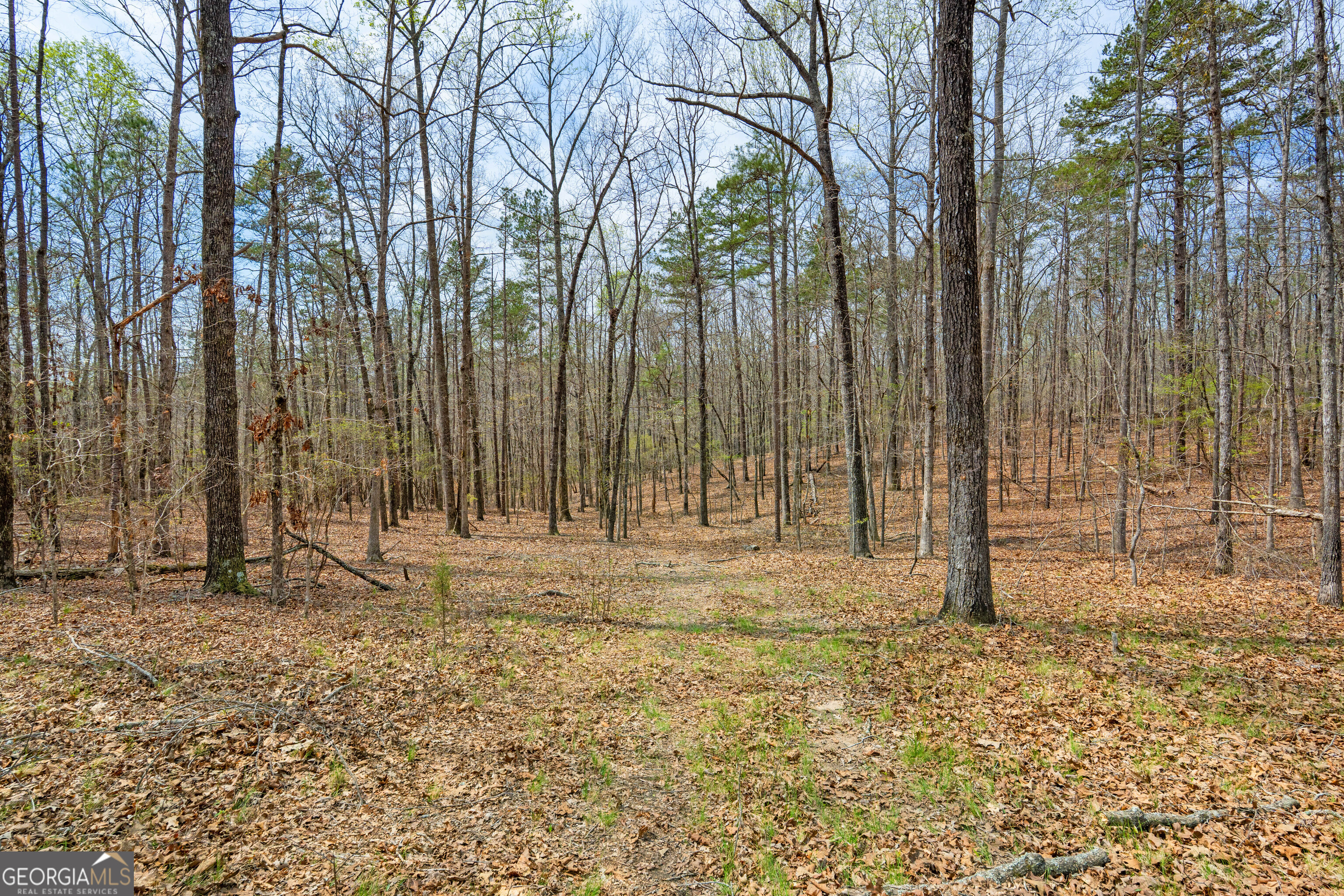 733 Cherry Road Franklin, GA 30217 - Photo 74 of 88