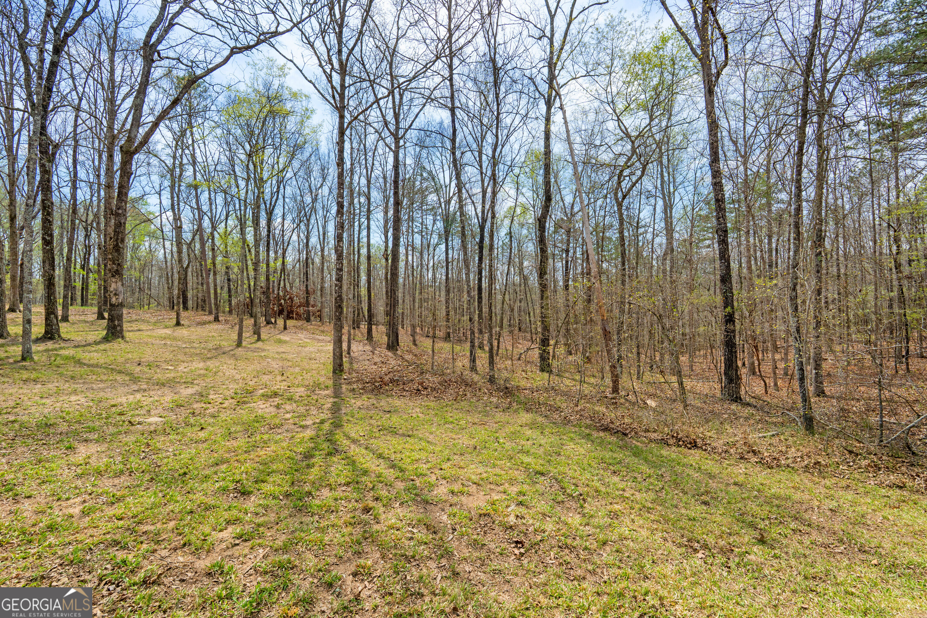 733 Cherry Road Franklin, GA 30217 - Photo 75 of 88