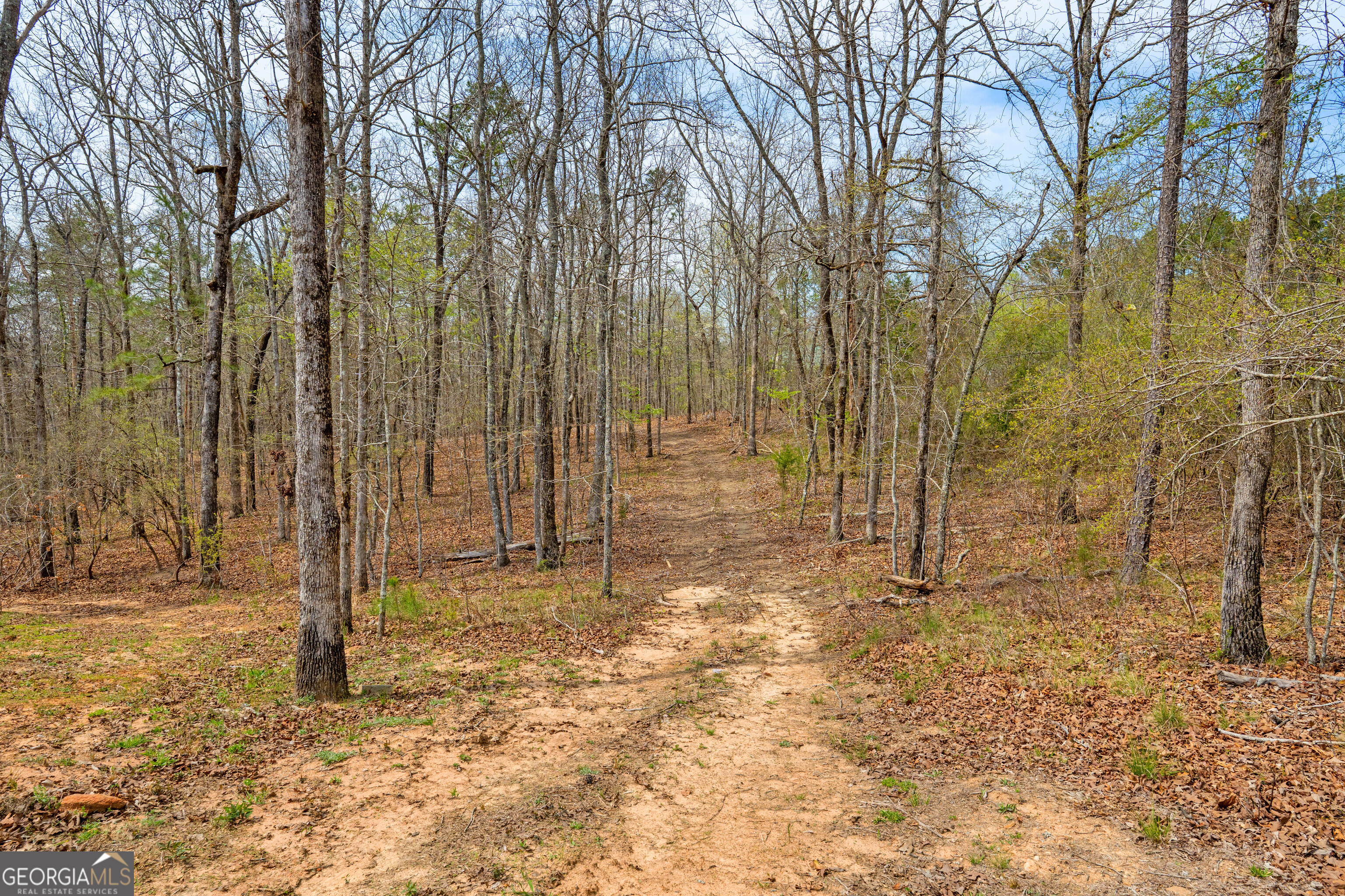 733 Cherry Road Franklin, GA 30217 - Photo 76 of 88
