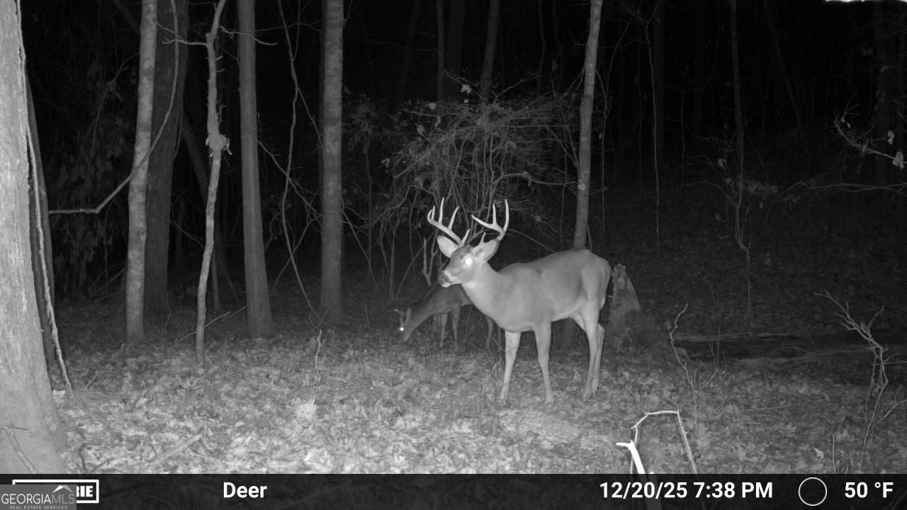 733 Cherry Road Franklin, GA 30217 - Photo 87 of 88