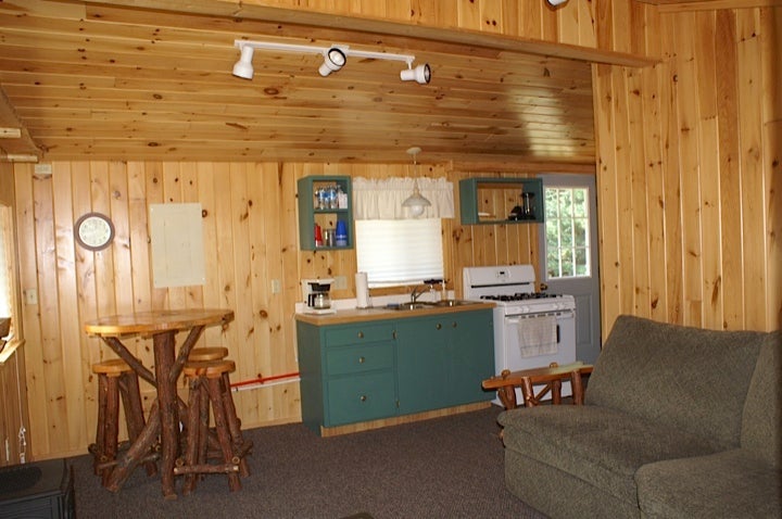3321 North Manistee River Road Frederic, MI 49733 - Photo 8 of 17 Gallery Image 8