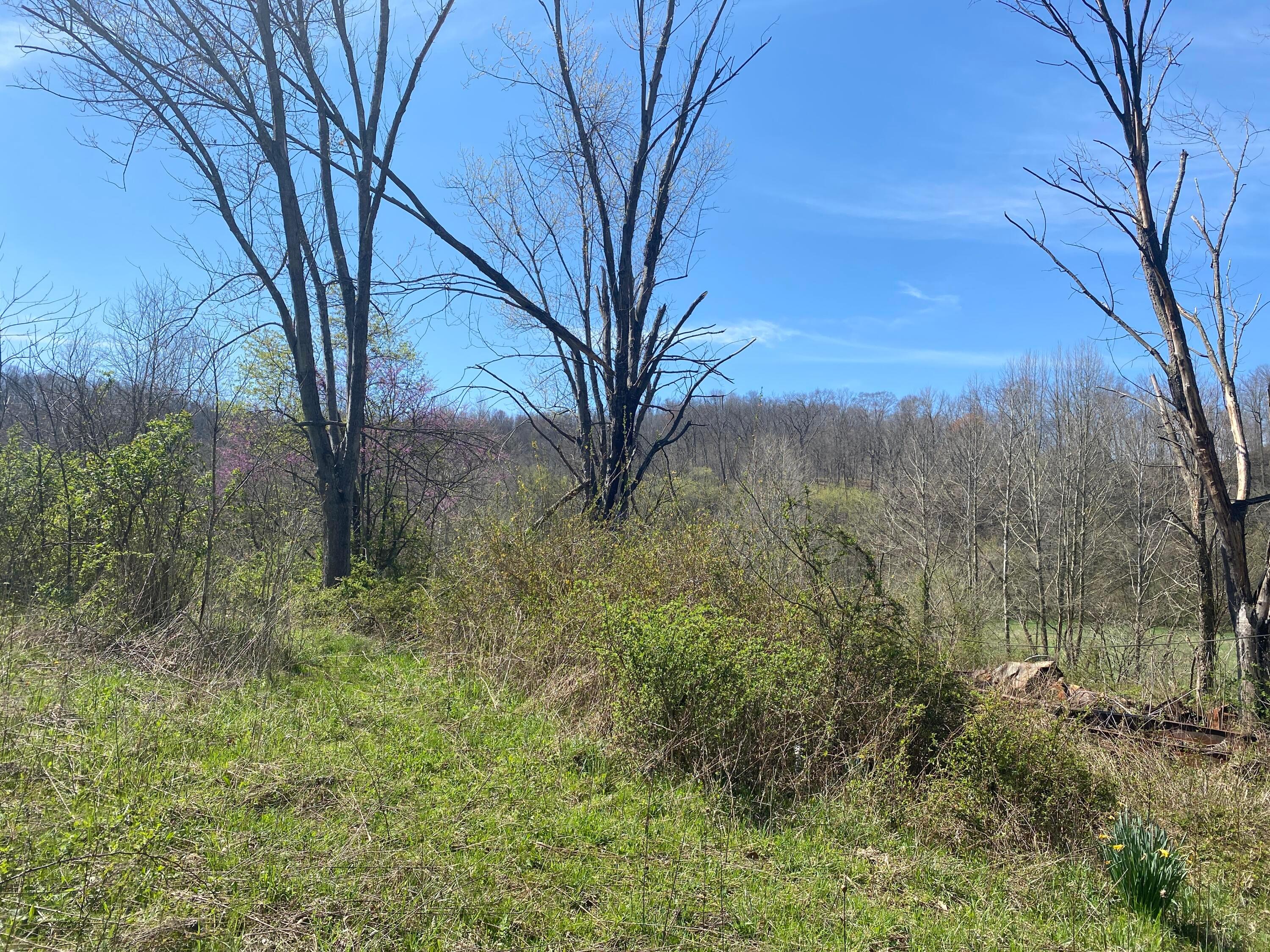 0 West Side Tr Reedsville, OH 45772 - Photo 10 of 19 Top of hill, old homesite on the right.