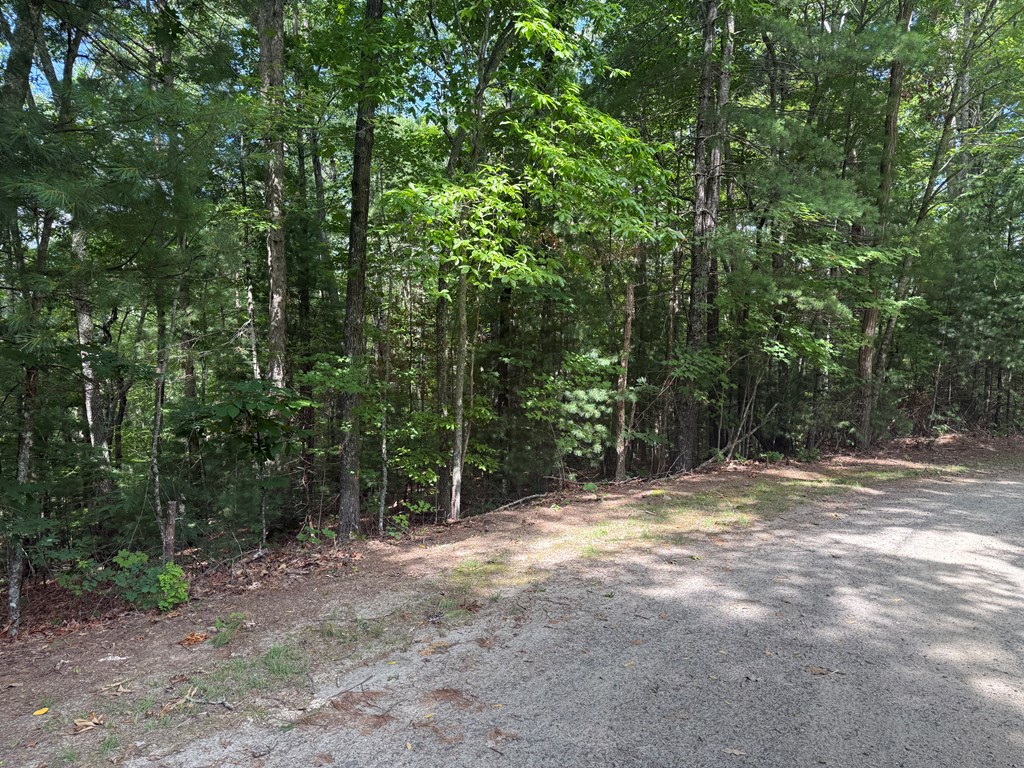 0 Guy Eller Road Murphy, NC 28906 - Photo 3 of 6