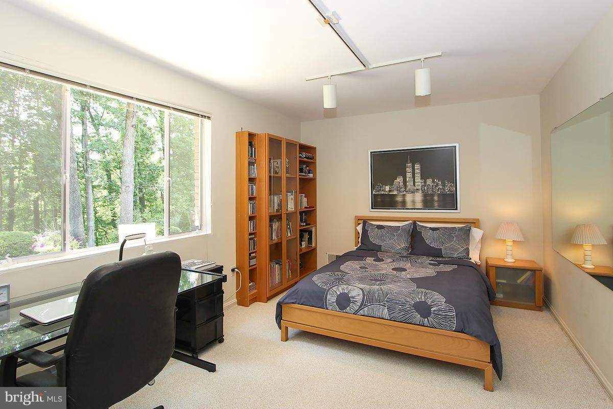 6508 East Halbert Road Bethesda, MD 20817 - Photo 18 of 30 Basement Level Bedroom w/view of forest!