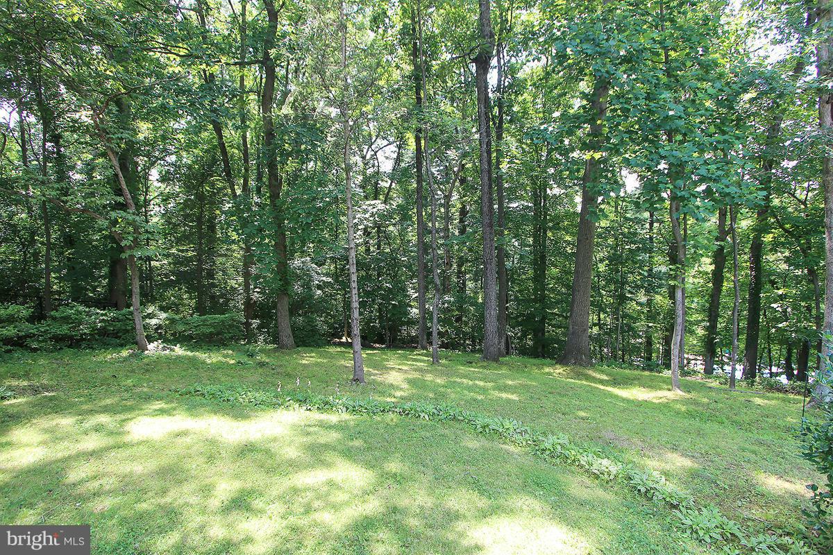 6508 East Halbert Road Bethesda, MD 20817 - Photo 26 of 30 DEEP backyard w/path to Bannockburn Pool!!