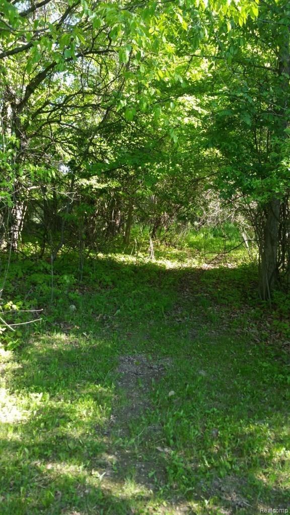 6138 Tubspring Road Almont, MI 48003 - Photo 10 of 42 20150522_174643.jpg