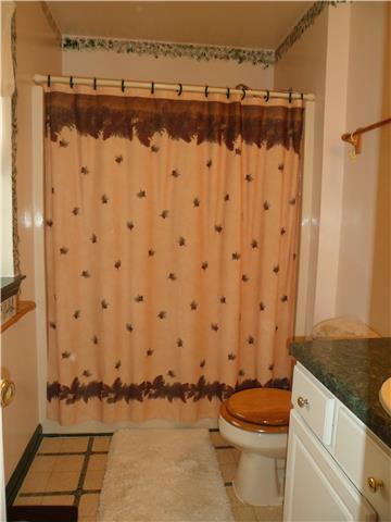 4486 Sears Road Pegram, TN 37143 - Photo 16 of 20 Master bathroom