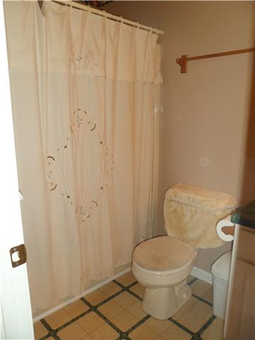 4486 Sears Road Pegram, TN 37143 - Photo 18 of 20 Guest bathroom