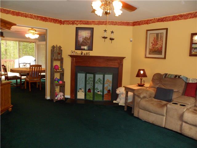 4486 Sears Road Pegram, TN 37143 - Photo 9 of 20 Cozy wood burning fireplace in the living room