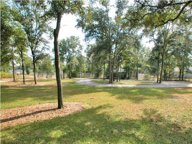 5442 Old Bethel Road Crestview, FL 32536 - Photo 7 of 13 Gallery Image 7