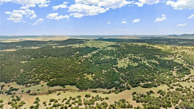 a view of a city with an ocean