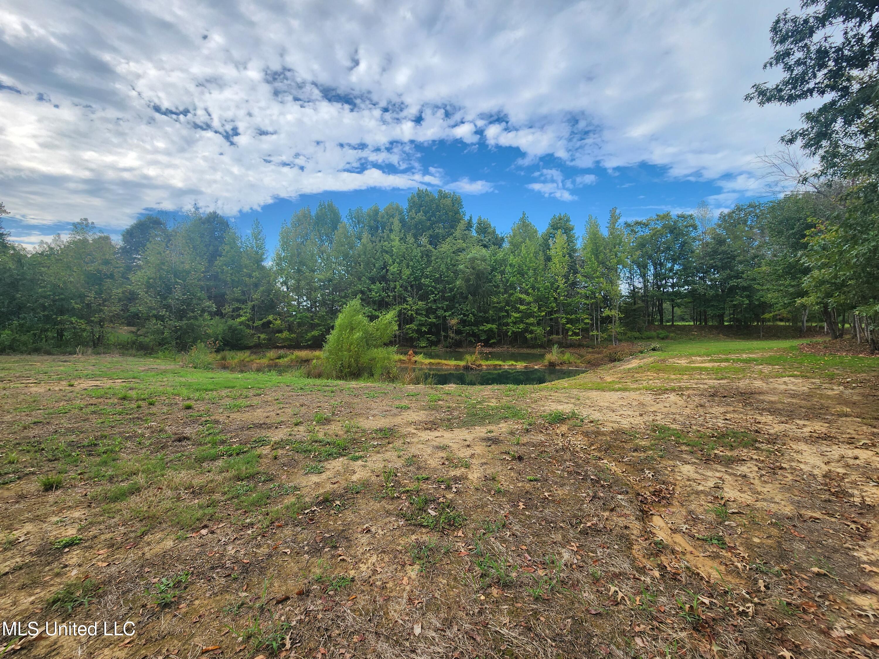 9 Steward Road Senatobia, MS 38668 - Photo 5 of 15 20240906_160619