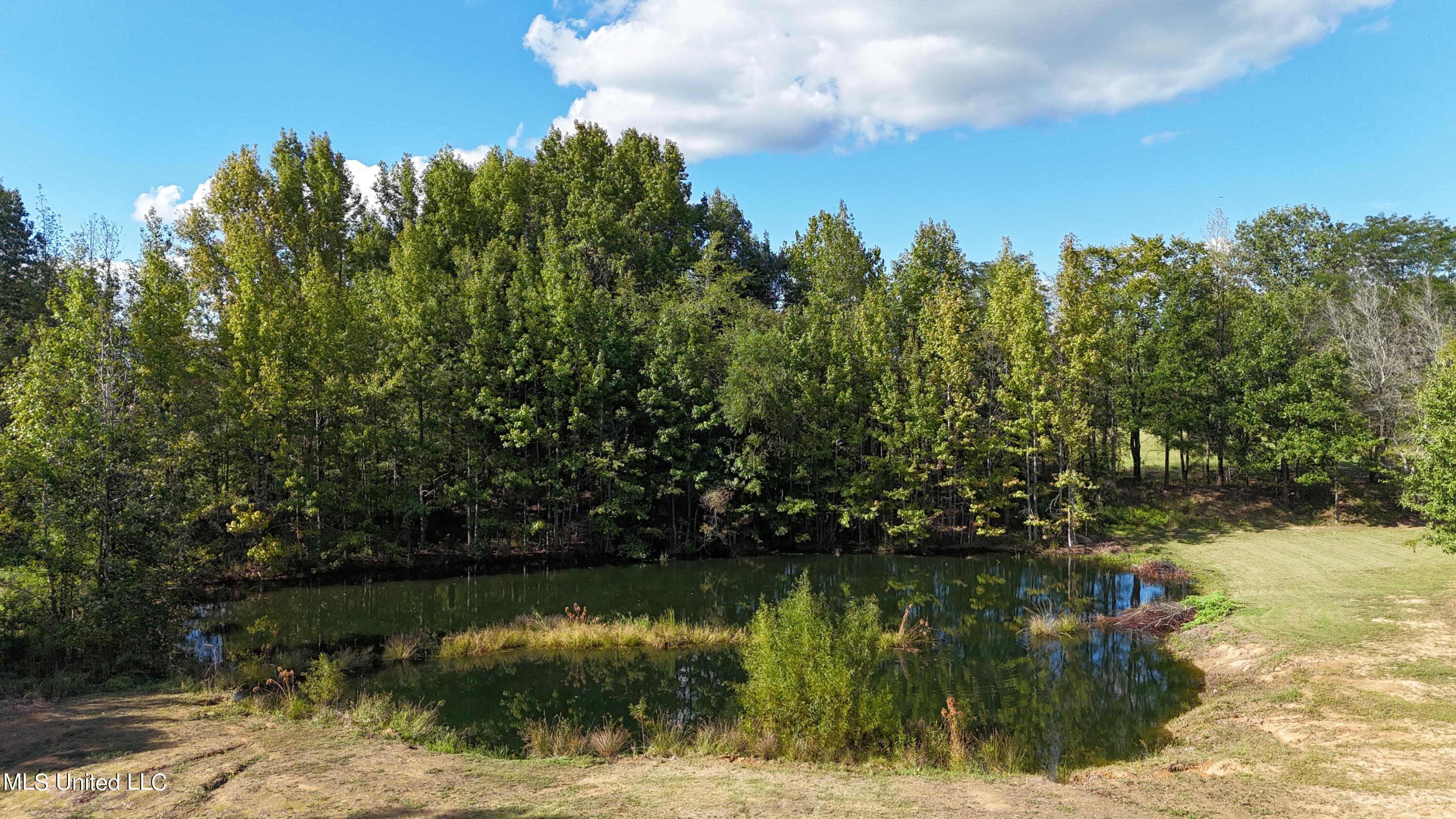 9 Steward Road Senatobia, MS 38668 - Photo 6 of 15 DJI_20240919154953_0997_D