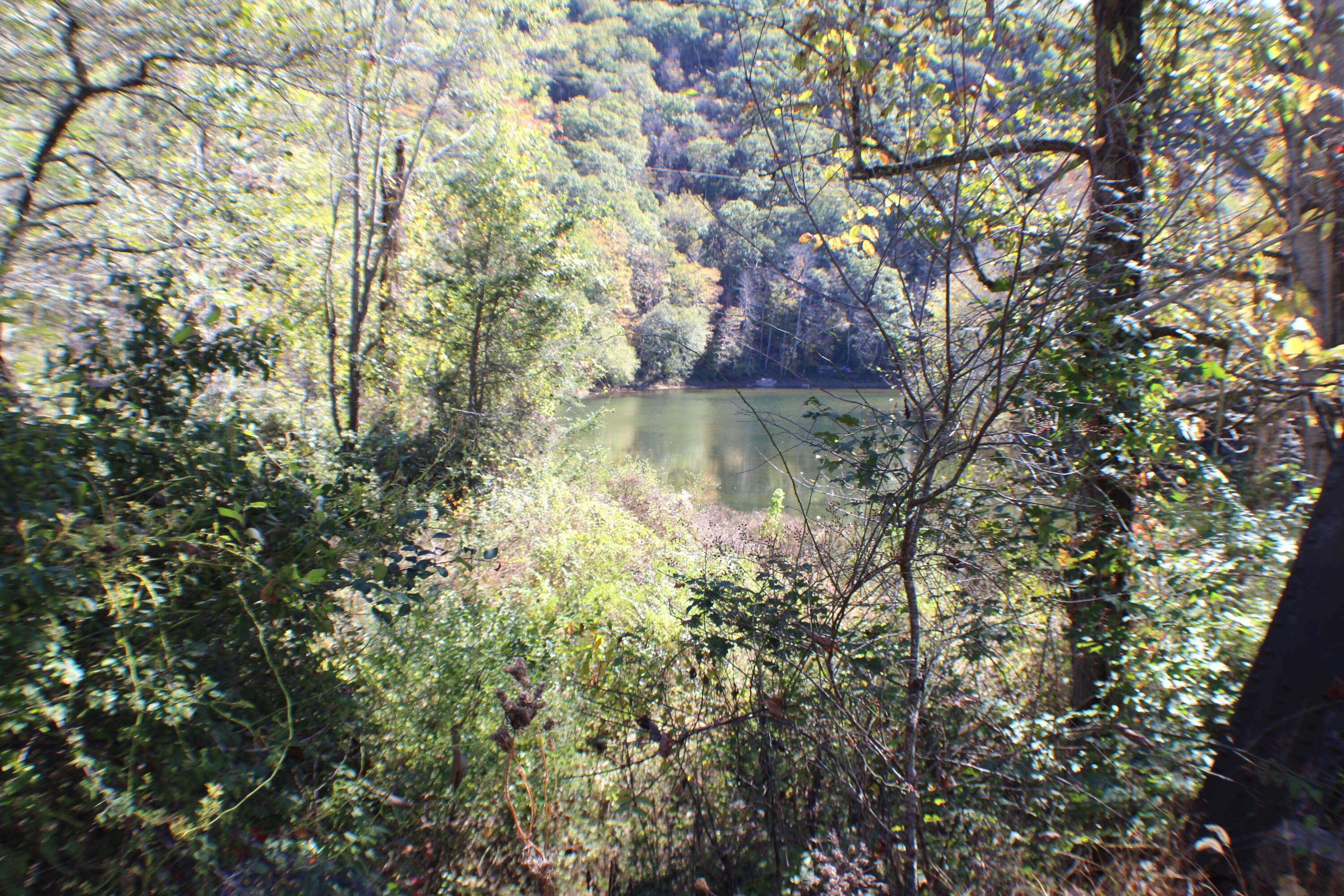 27-2 Co Route Marlinton, WV 24954 - Photo 4 of 13 Gallery Image 4