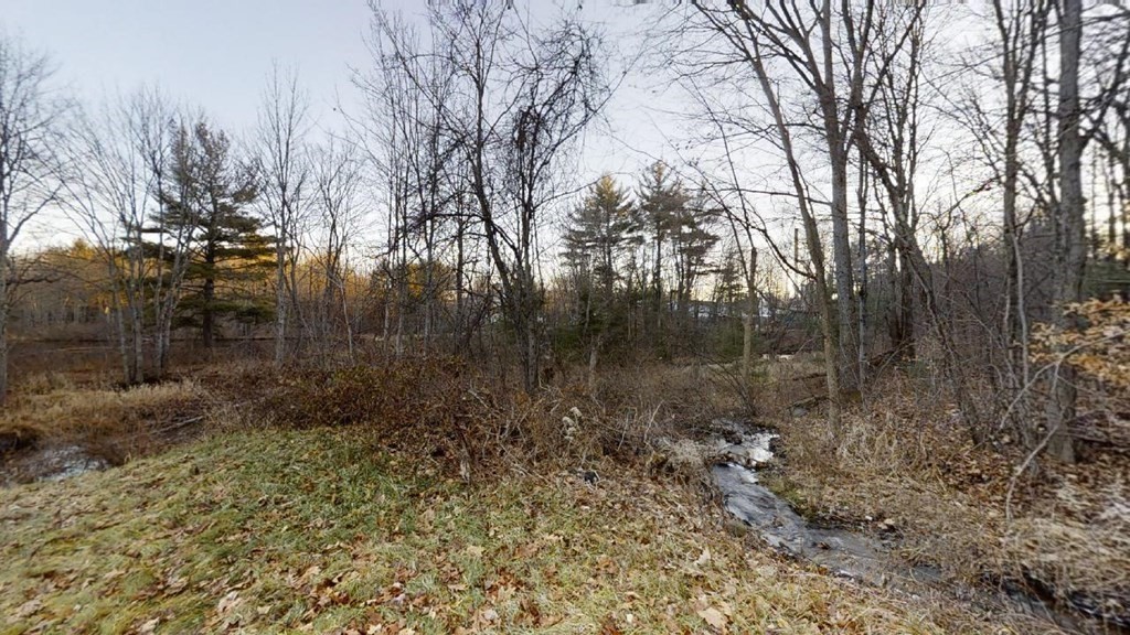 11 River Road Templeton, MA 01436 - Photo 3 of 32 a view of a forest