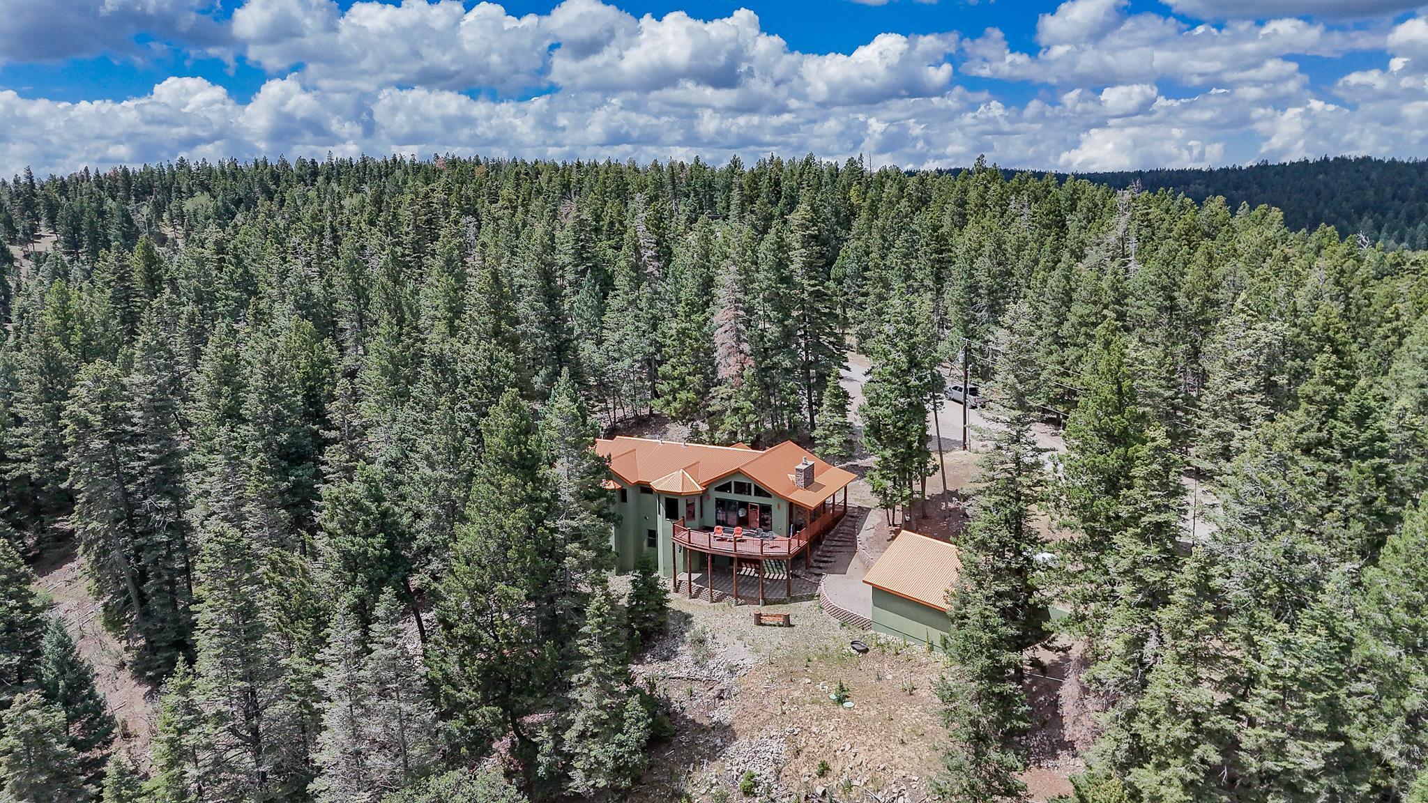 65 Big Dipper Road Cloudcroft, NM 88317 - Photo 1 of 1 Gallery Image 1